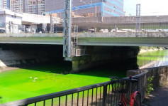 城門河明渠驚變螢光綠嚇煞市民 環保署證實工廈防漏測試