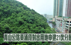 城市規劃｜青山公路葵涌段對出用地申建21伙分層戶