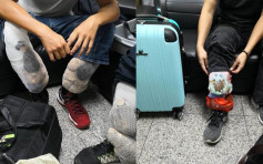 3台男走私動物68隻活活綁腿上 圖闖金門機場被截
