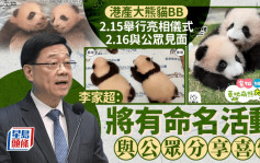 港產大熊貓︱李家超：兩隻大熊貓BB將於2.15舉行亮相儀式 翌日與公眾見面 會有命名活動