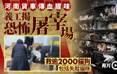 河南貨車發怪聲傳血腥味  動物義工揭恐怖屠宰場救逾2000貓狗｜有片