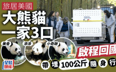 旅居美国大熊猫一家3口启程回国　「随身行李」有乜？