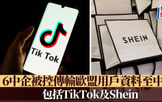 6家中企被控传输欧盟用户资料至中国 包括TikTok及Shein