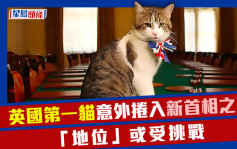 英国第一猫意外卷入新首相之争 「地位」或受挑战