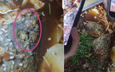 河南高校食堂烤魚出現蛆蟲 涉事餐廳停業整改被立案查處