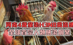 全球首例｜河南男童染H3N8禽流感 衞生防护中心密切监察