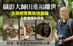 风景摄影大师田进福离世遗6爱猫 好友：希望帮佢哋搵到好人家