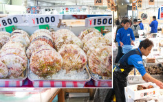 日本核廢水｜中國禁水產 重創日漁業 原佔出口兩成  東京魚市扇貝價暴跌30%