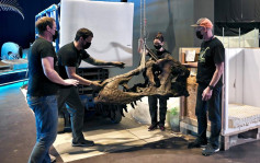 回归25载｜科学馆下月举行大型恐龙展览 8组恐龙盛世化石标本免费观看