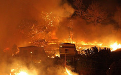 葡萄牙山火至少41死 当地全国哀悼3天