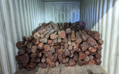 海關檢6500公斤受管制紫檀木 市值約410萬