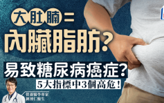 肚腩大因為內臟脂肪？易致糖尿病/中風/癌症？5大指標自測風險