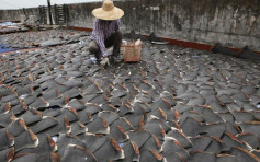 foodpanda響應「無翅」 下架500多項鯊魚產品
