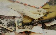 將軍澳翠林邨郵筒遭縱火 郵政署指30信件燒毀或浸濕