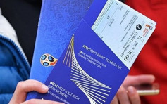 莫斯科為世界盃球迷提供免費交通45條線路