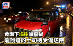 龍翔道黃雨下塌樹釀兩的士車禍 1司機受傷送院
