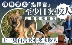 拜登愛犬「指揮官」至少11次咬人  已被帶離白宮