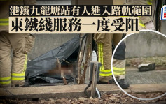 28歲港男擅闖九龍塘站路軌遭撞斃 東鐵綫列車服務一度暫停