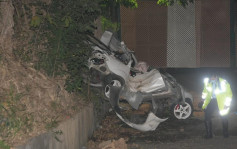 粉锦公路私家车冲落10米斜坡司机丧命 消息指死者为前警员