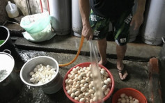 台灣消保處抽查食肆 發現過期4年食材  