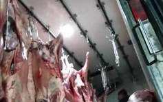 河北滄州通霄調查瘦肉精羊肉事件 涉事企業負責人已被控制