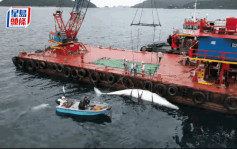 西貢鯨魚｜環團稱政府處理手法有改善空間 倡將西貢牛尾海劃為保護區