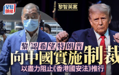 黎智英案│黎智英承認想特朗普向中國實施制裁 以盡力阻止《香港國安法》推行