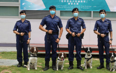 海关成立首支烟草搜查犬队 派往机场及货柜码头等地执勤