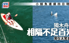 西貢鯨魚｜小鯨魚再現 與獨木舟女僅隔百米 網民：條鯨魚BB同我這麼近