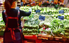 内地供港鲜活食品供应足 菜芯平均批发价每斤12.8元