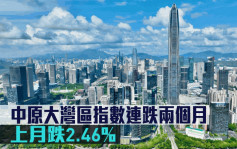 大灣區指數｜中原大灣區指數連跌兩個月 上月跌2.46%