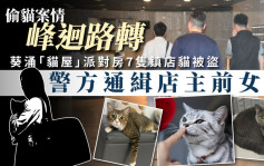 葵涌「猫屋」派对房7只镇店猫被盗 警方通缉店主前女友
