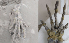 巴西海灘驚見60厘米長怪手被指似外星人 專家揭「身分」