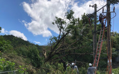 受「山竹」影响架空电缆逾300处受损 仍有约1500中电用户停电