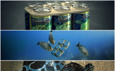 救海洋生物　啤酒公司研發可分解食用啤酒罐套環