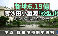 新地6.19亿夺沙田小沥源「蚊型」地 每尺楼价3952元 中原张竞达：属市场预期中位数