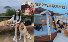 林夏薇跟爱犬在山顶豪宅天台  扎营欣赏维港夜景  