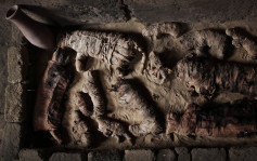 埃及發現7座古墓 藏木乃伊貓聖甲蟲