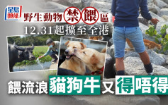 野生動物禁餵區擴至全港12.31生效 非法餵飼可被檢控