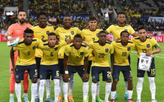 世界杯2022｜厄瓜多尔二十六人大军名单