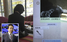 国际刑警组织指孟宏伟辞任主席 妻称曾收到丈夫传来「刀」短讯忧安危
