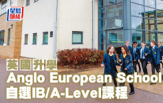 英国升学︱Anglo European School 自选IB/A-Level课程