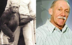 人類猩猩混種 學者：百年前已誕生 科學家殺了牠