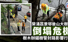 葵涌荔景邨後山大樹存倒塌危機 樹木辦鋸樹警封路影響行車