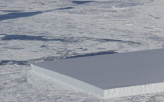 仿如人工切割 南極驚現正方形冰山