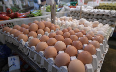 日本宮崎縣爆發H5禽流感 當地禽肉及禽類產品暫停進口