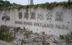 【天鴿襲港】香港濕地公園暫停開放