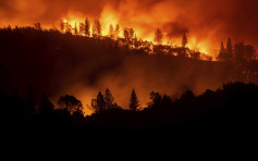 【加州山火】死亡人数增至31人 州长要求列重大灾难
