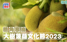 李建文 - 大樹菠蘿文化節2023｜牆角寒梅