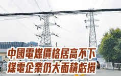 中国电煤价格居高不下 煤电企业仍大面积亏损